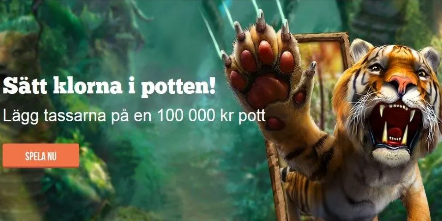 Tävla om 100 000 kr i Paf casino